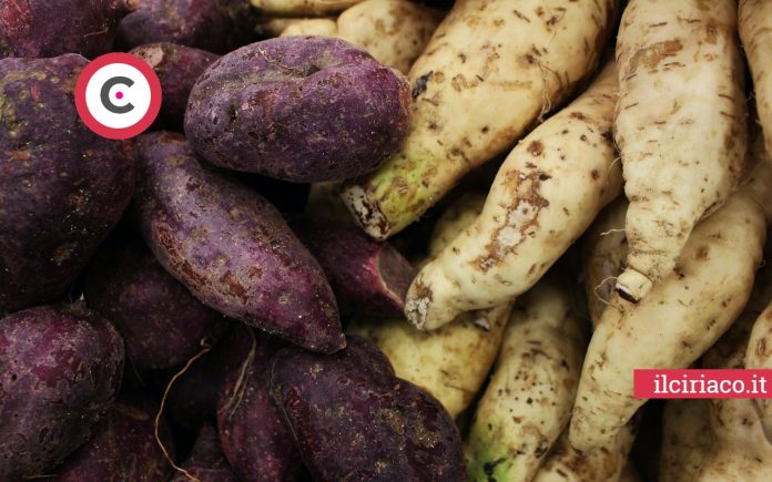 Patate viola ilCiriaco.it