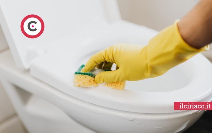 Pulizia wc ilCiriaco.it