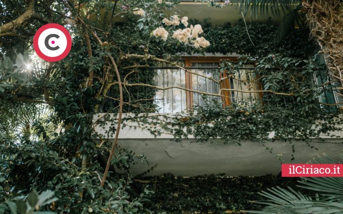 Balcone estate ilCiriaco.it