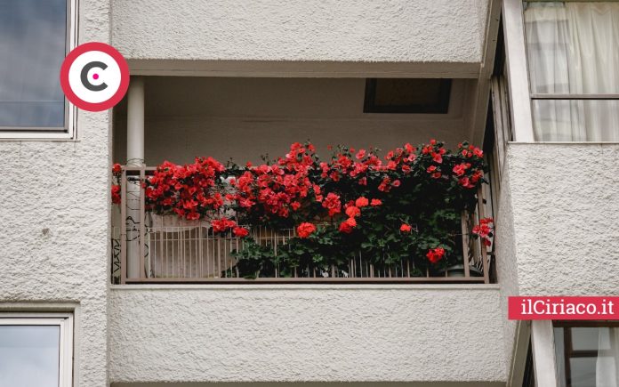 Balcone fiorito ilCiriaco.it