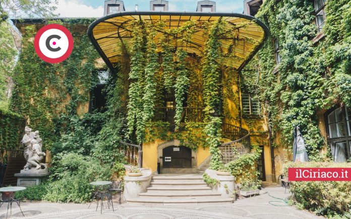 Piante pendenti abbellire giardino e balcone ilCiriaco.it