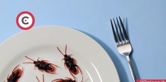 Segreti scacciare scarafaggi e blatte ilCiriaco.it