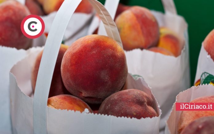 Chi non può mangiare pesche ilCiriaco.it