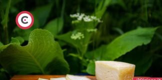 Come conservare il formaggio in frigorifero ilCiriaco.it 