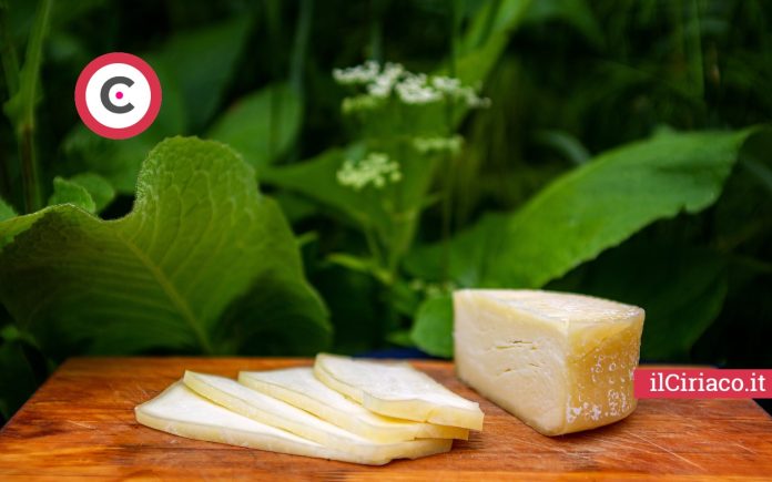 Come conservare il formaggio in frigorifero ilCiriaco.it 