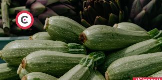 Dove coltivare le zucchine ilCiriaco.it