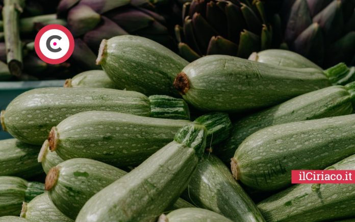 Dove coltivare le zucchine ilCiriaco.it