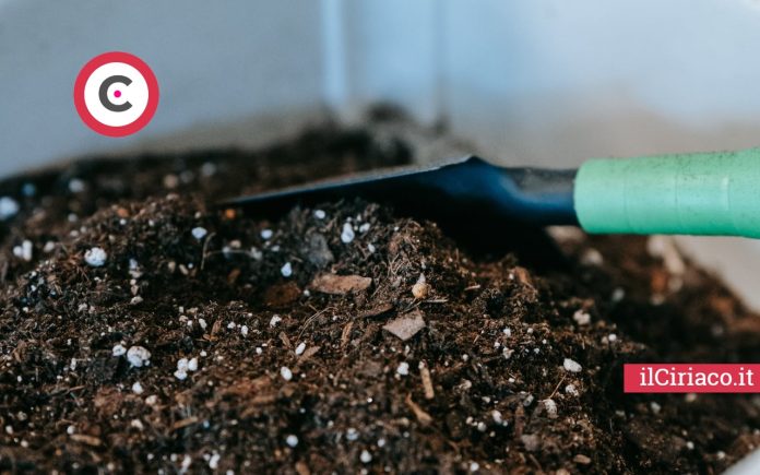 Fare compost con i rifiuti organici ilCiriaco.it