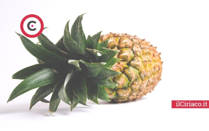 Mangiare ananas ogni giorno ilCiriaco.it