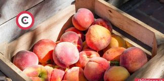 Mangiare troppe pesche fa male ilCiriaco.it