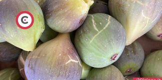 Perché mangiare la buccia dei fichi ilCiriaco.it
