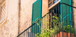 Piante in balcone ilCiriaco.it 