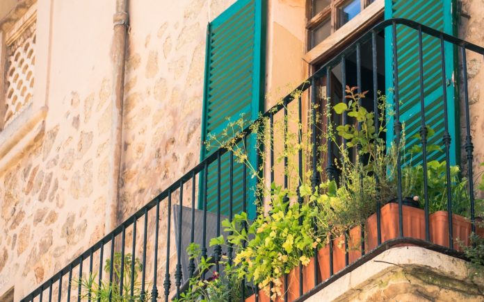 Piante in balcone ilCiriaco.it 