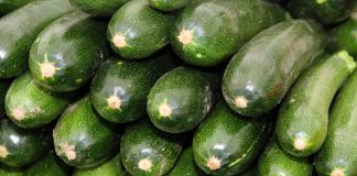 zucchini 537001 1280