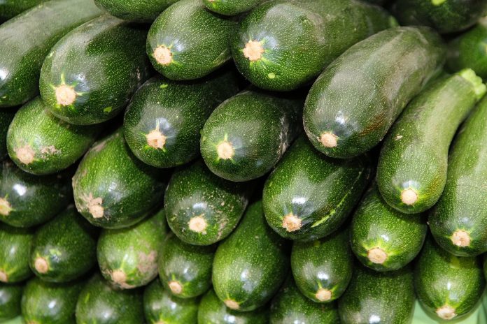 zucchini 537001 1280