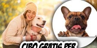 cibo gratis cani e padroni