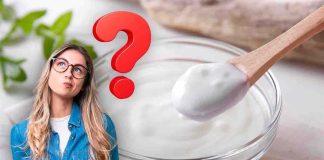 effetti yogurt sull'organismo