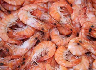 riconoscere gamberi freschi