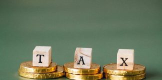partita iva, calcolo pensione