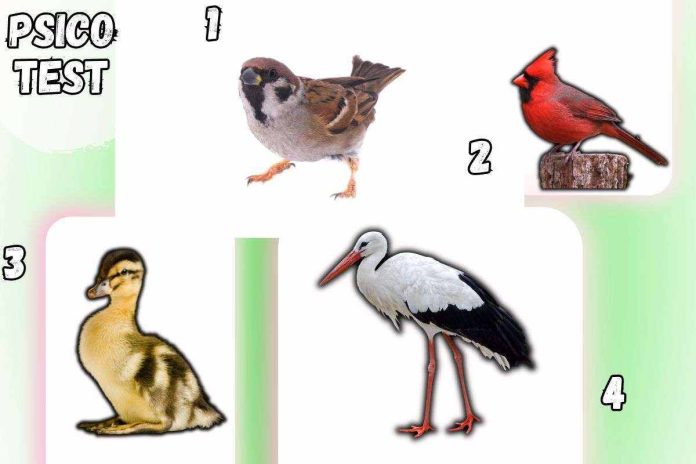 Test della personalità sugli uccellini