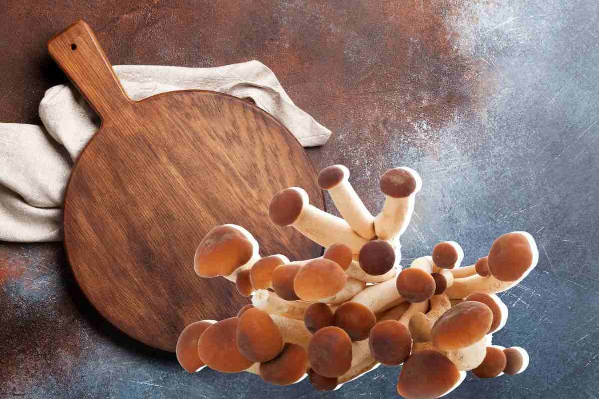 Come preparare al meglio i funghi chiodini