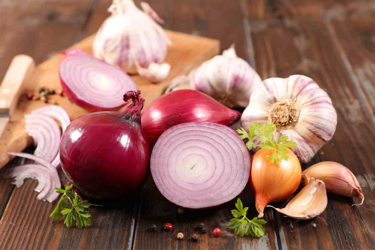 Dieta della cipolla: utilizzala in questo modo e perderai subito i chili di troppo 2 Tutto sulla dieta della cipolla