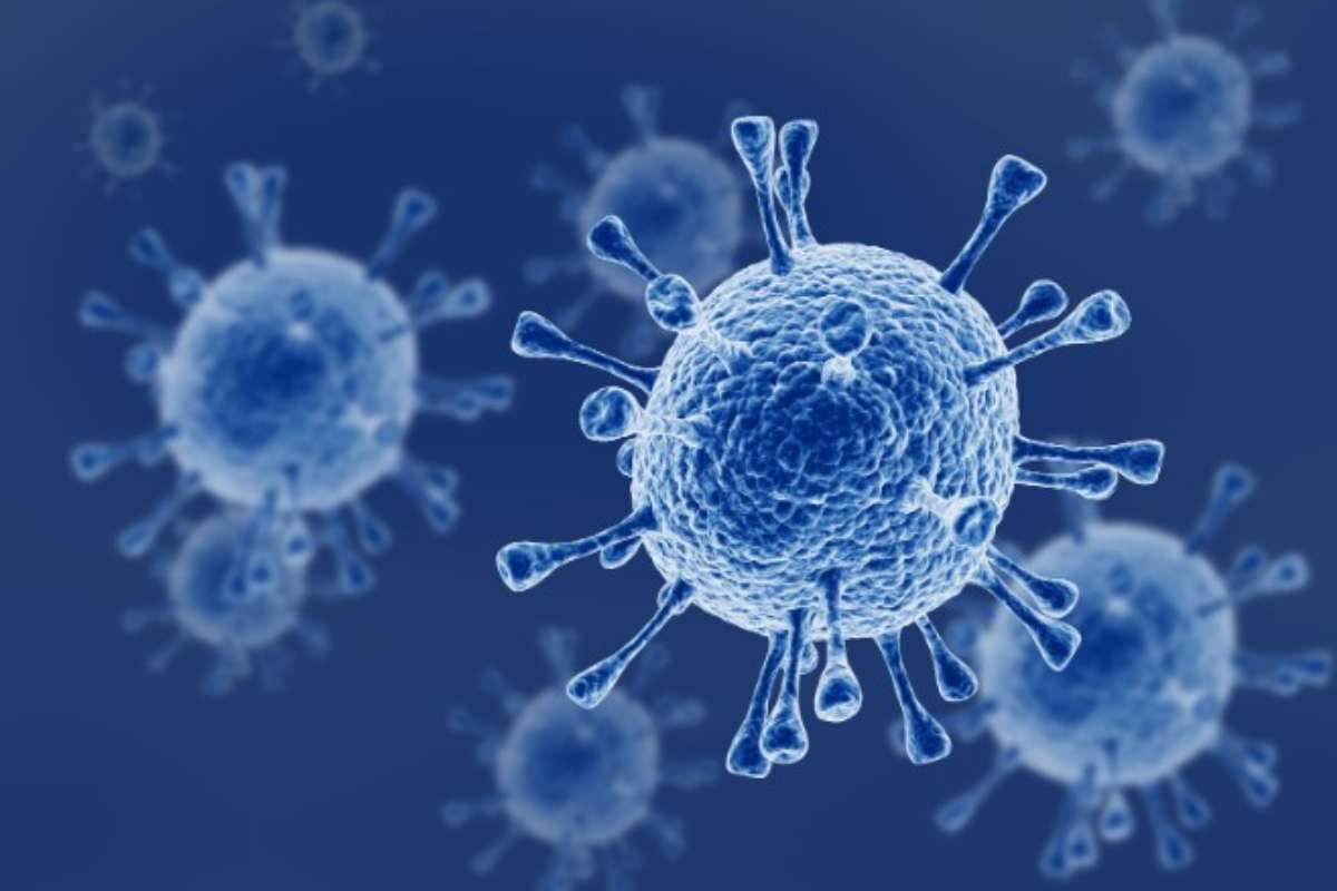 Nuovo virus primo contagiato