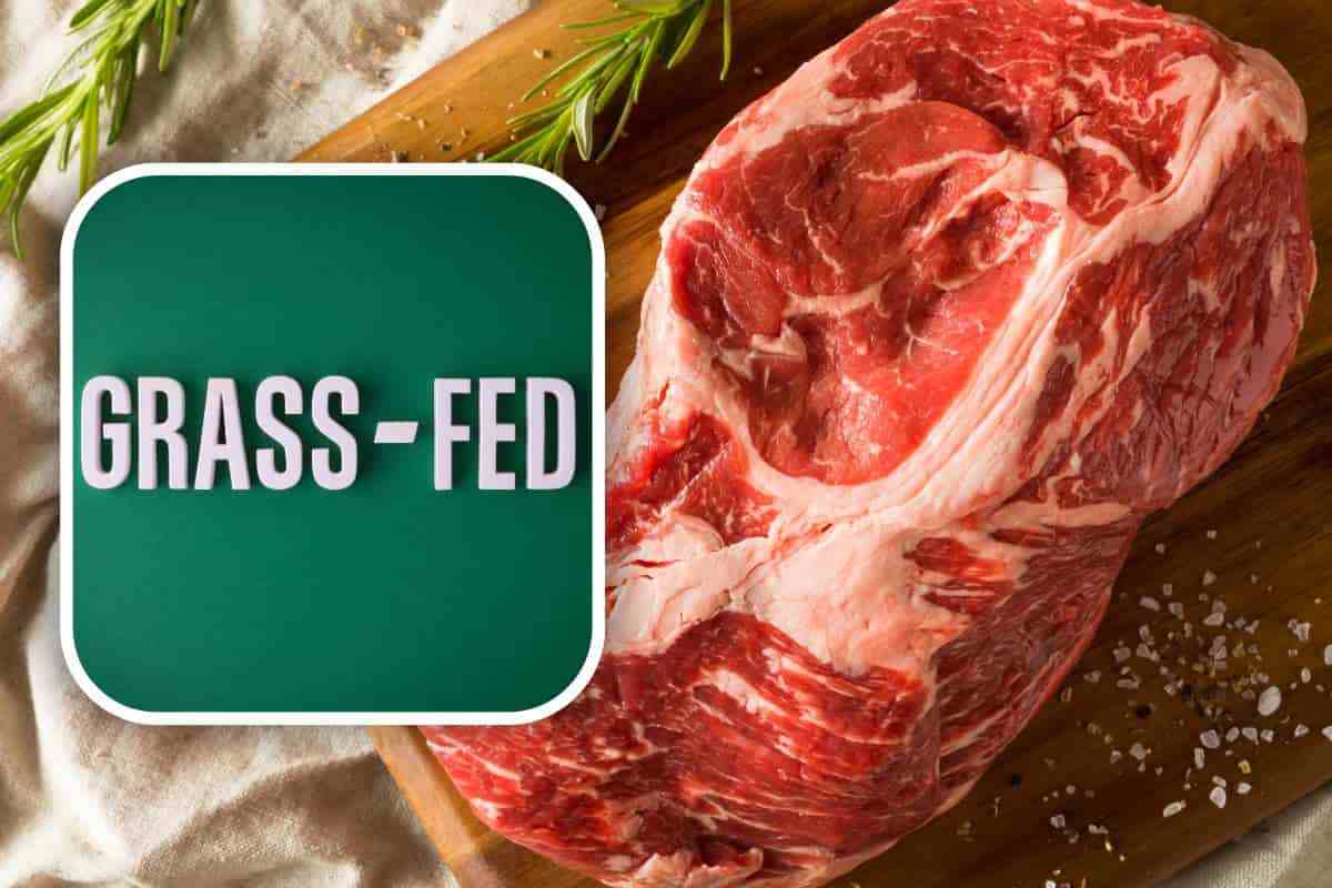 caratteristiche della carne grass fed