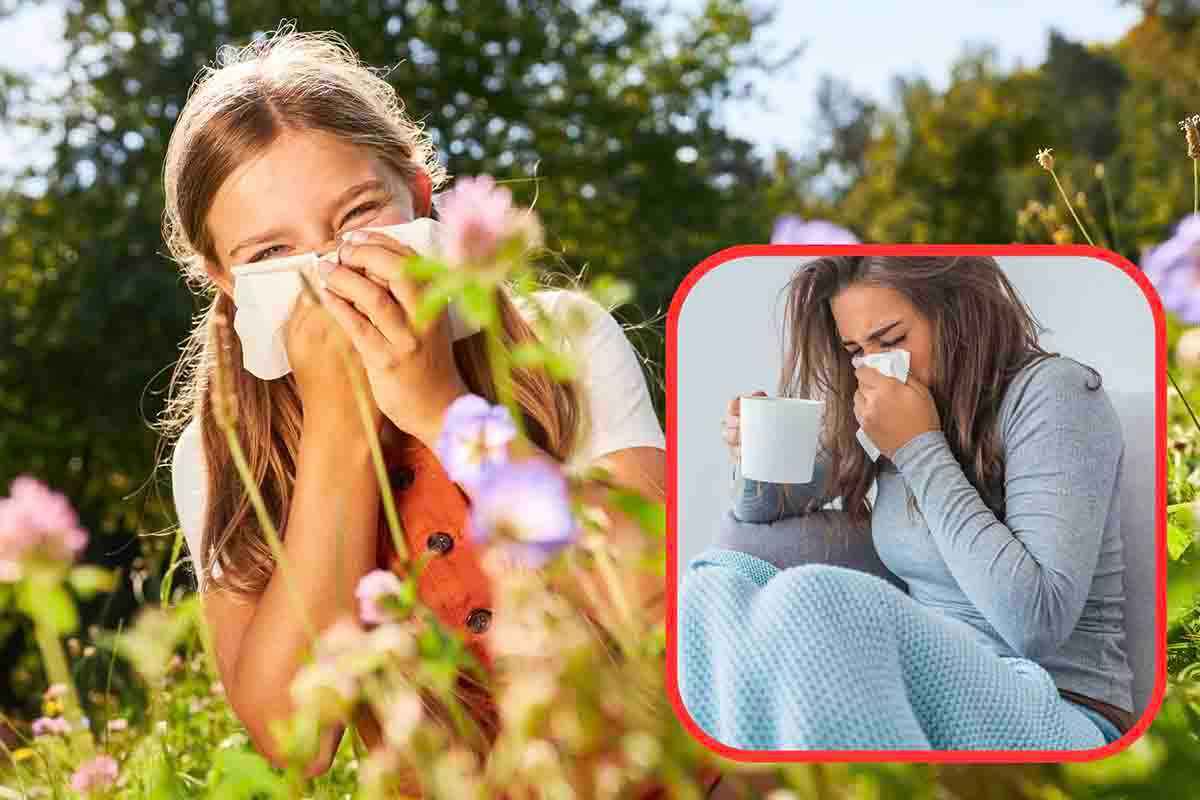 differenza tra allergia e raffreddore