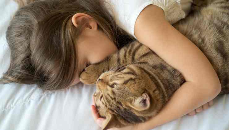 Dormire con cane e gatto animali domestici benefici e controindicazioni