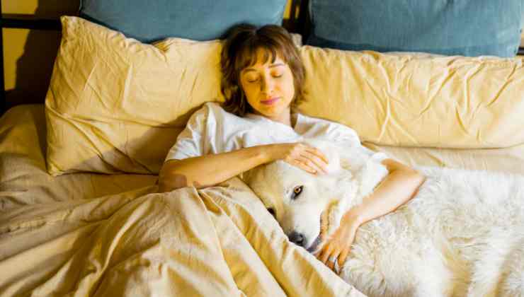 Dormire con cane e gatto animali domestici benefici e controindicazioni