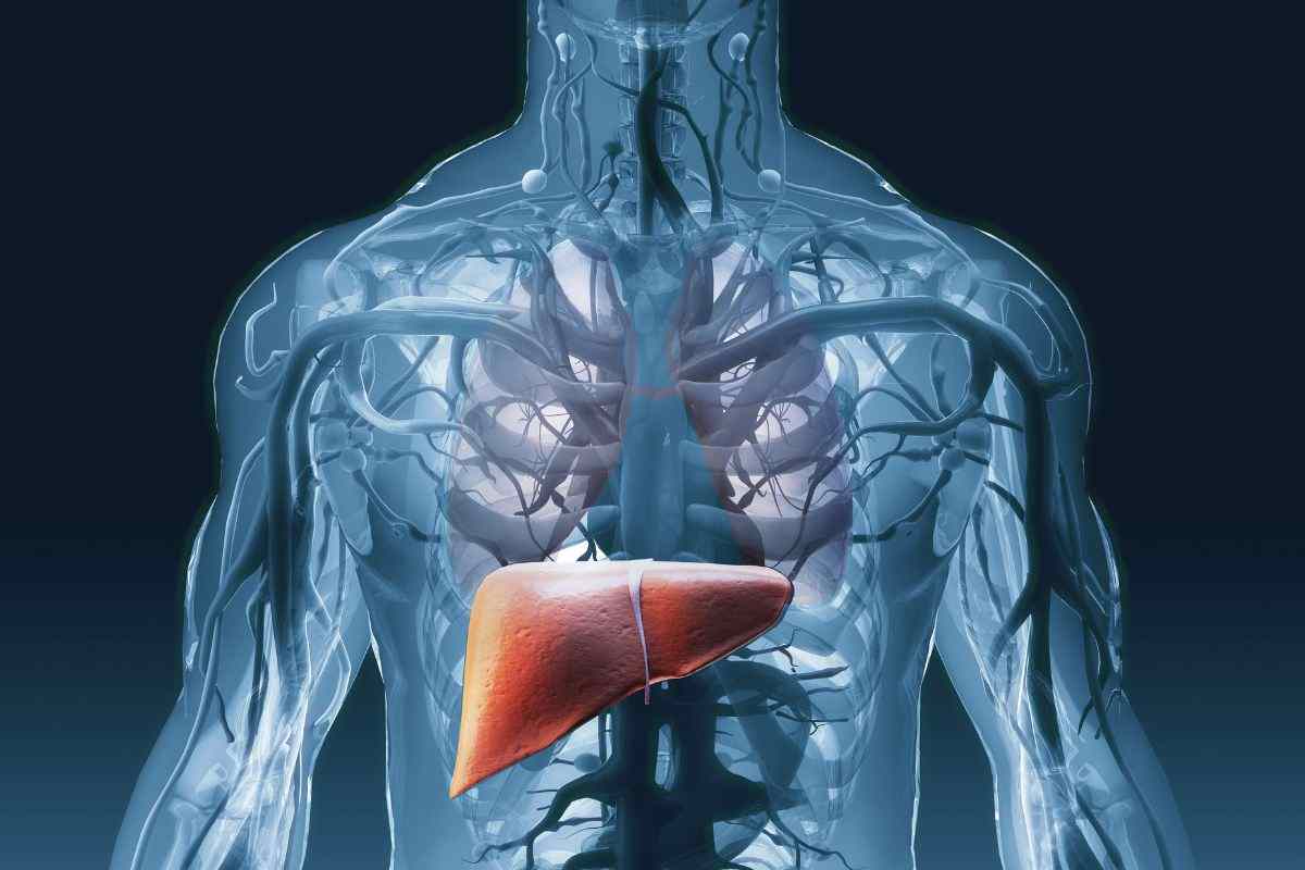 Alcohol is not the only problem for our liver health: pay close attention to these foods