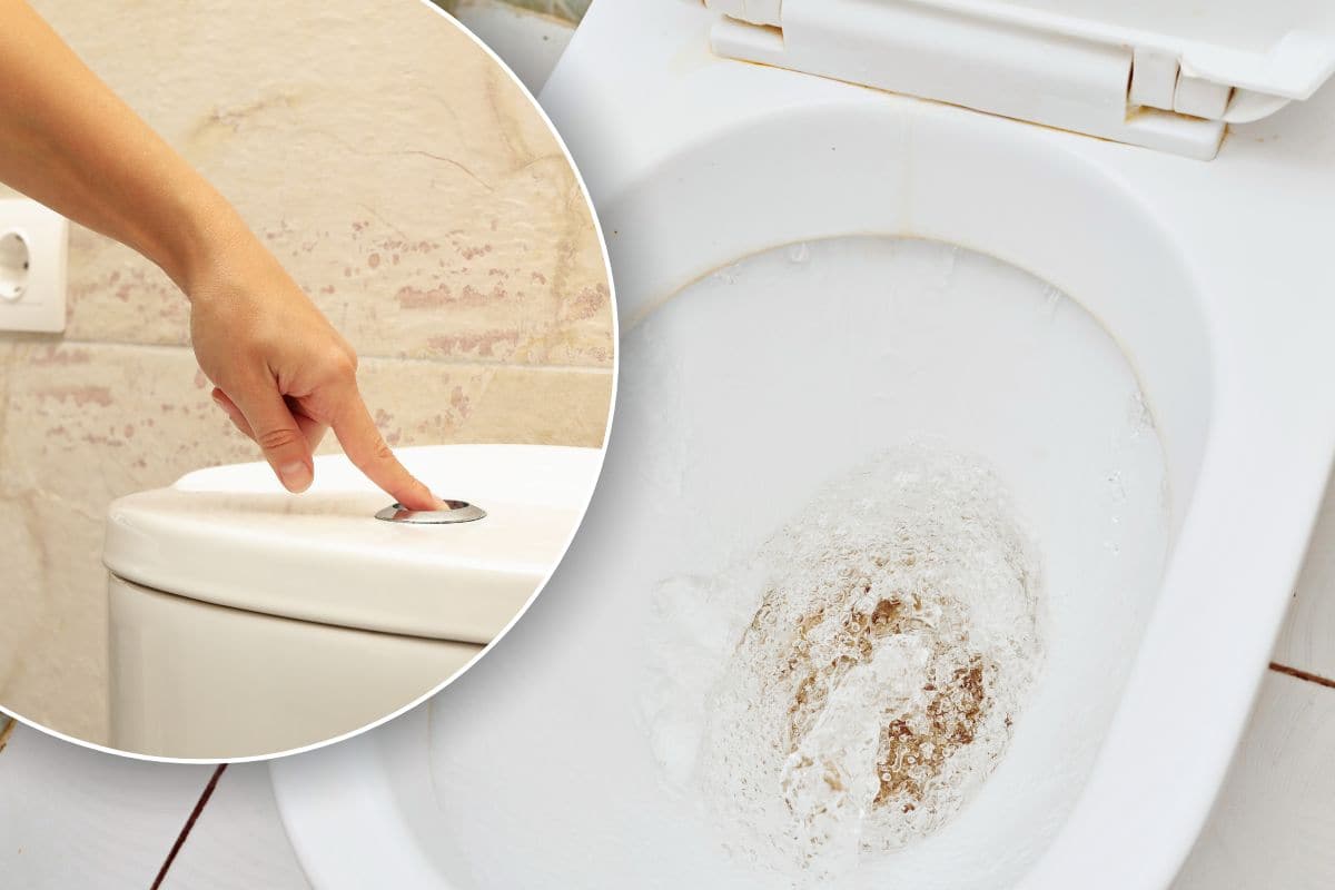 It's really disgusting!  Not everyone knows exactly what to do before cleaning the toilet