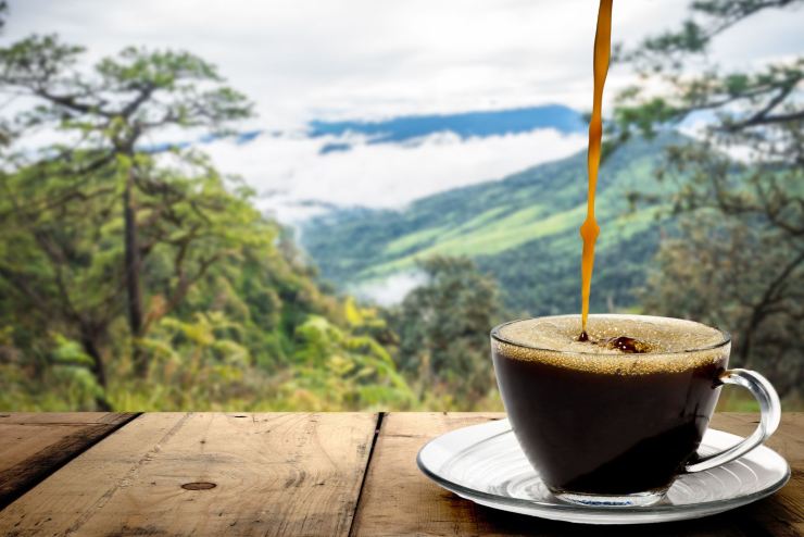 Caffè decaffeinato e solventi