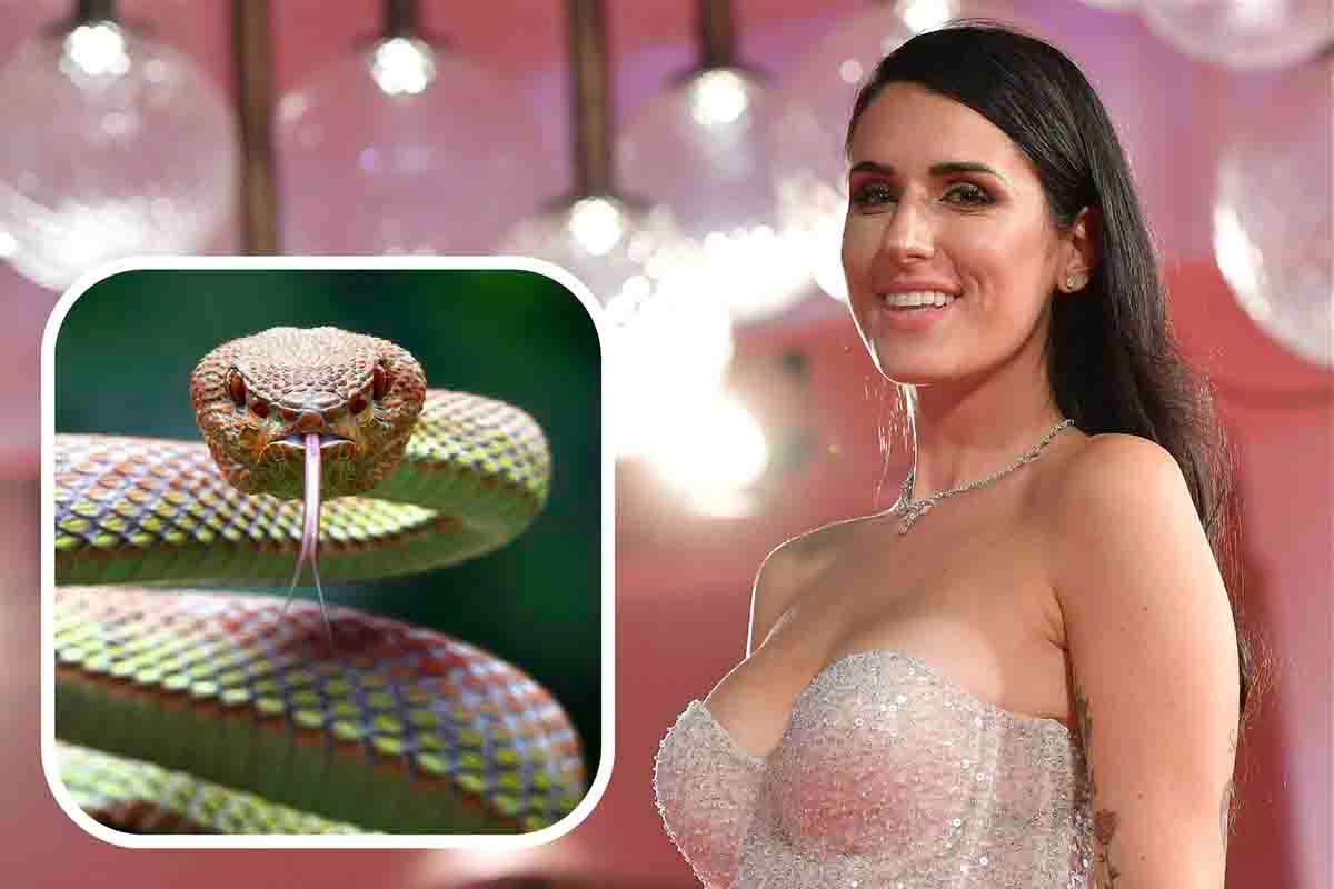 Valentina Vignali, paura per il serpente