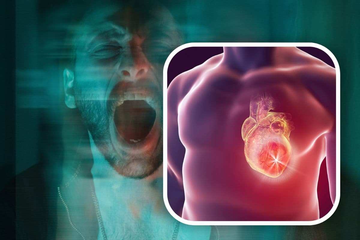 Does anger trigger coronary heart assault?  This can be confirmed by a examine finished by a group of scientists